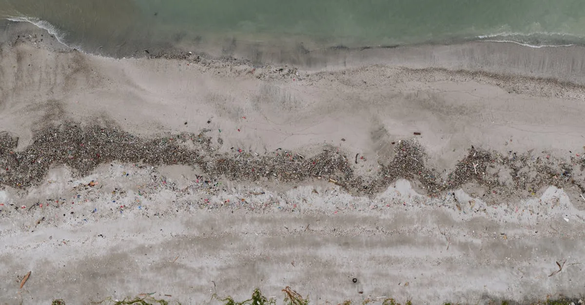 découvrez tout sur la rénovation et l'entretien des anciennes charpentes de toiture pour préserver l'authenticité et la solidité de votre maison.