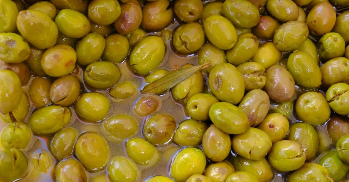 découvrez la teinte olive green, une couleur élégante et naturelle qui apporte chaleur et harmonie à vos designs et décors.